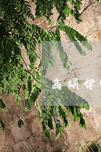 高娟律师在线法律咨询室