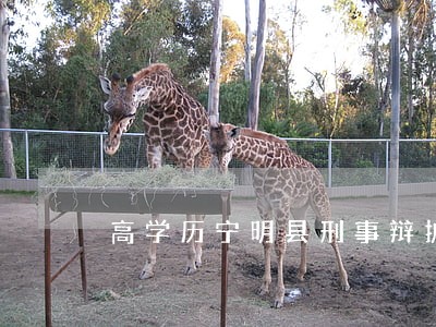 高学历宁明县刑事辩护在线律师 高学历宁明县刑事辩护在线律师