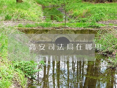 高安司法局在哪里 高安司法局在哪里