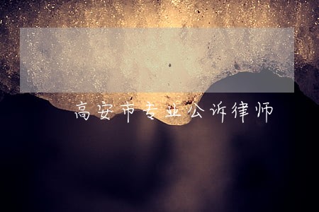 高安市专业公诉律师