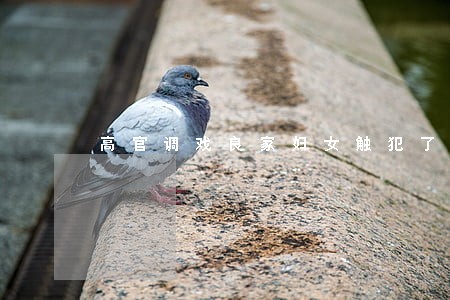 高官调戏良家妇女触犯了什么法律 高官调戏良家妇女触犯了什么法律