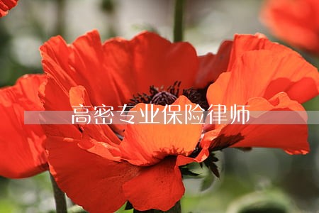 高密专业保险律师 高密专业保险律师