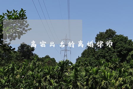 高密出名的离婚律师 高密出名的离婚律师