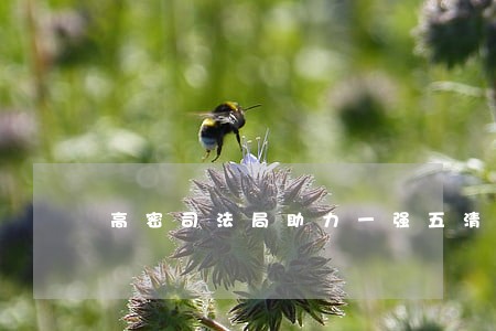 高密司法局助力一强五清