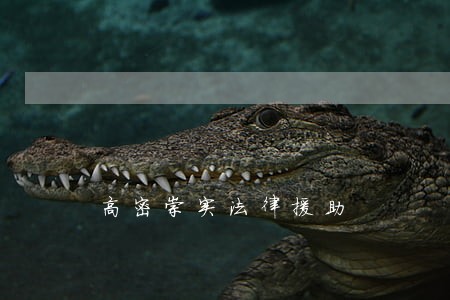 高密崇实法律援助 高密崇实法律援助
