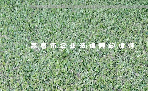 高密市企业法律顾问律师 高密市企业法律顾问律师