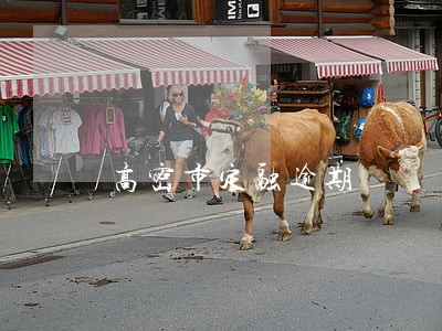 高密市定融逾期 高密市定融逾期