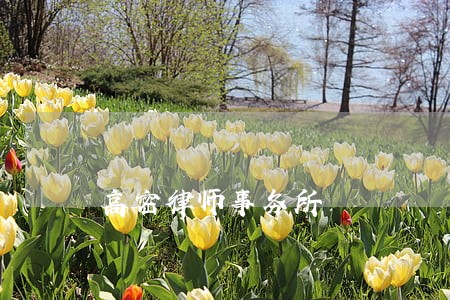 高密律师事务所 高密律师事务所