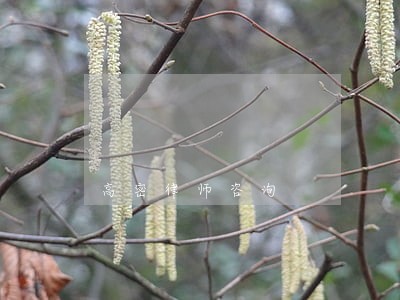 高密律师咨询 高密律师咨询