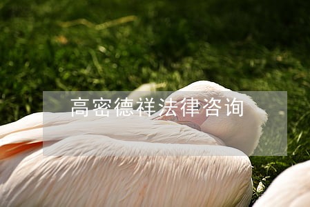 高密德祥法律咨询 高密德祥法律咨询