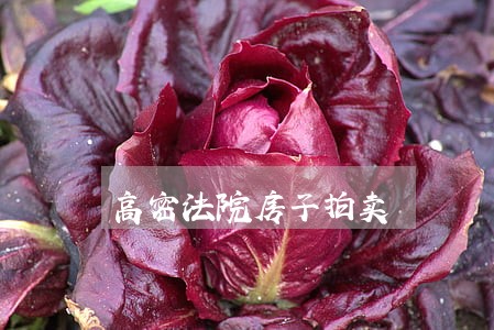 高密法院房子拍卖 高密法院房子拍卖