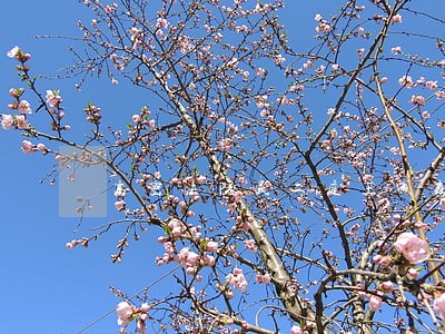 高密法院民二庭王成森 高密法院民二庭王成森