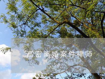 高密离婚案件律师 高密离婚案件律师