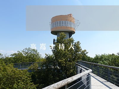 高嵩主持人 高嵩主持人