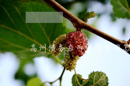 高州债务应诉律师费用怎么算 高州债务应诉律师费用怎么算