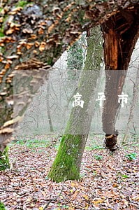 高平市委托贷款纠纷律师 高平市委托贷款纠纷律师