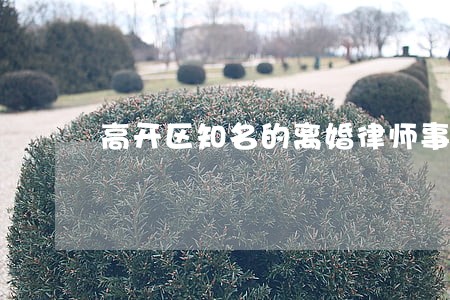 高开区知名的离婚律师事务所 高开区知名的离婚律师事务所