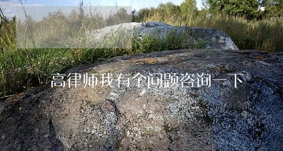 高律师我有个问题咨询一下 高律师我有个问题咨询一下