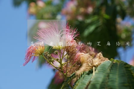 高德逾期会影响芝麻信用 高德逾期会影响芝麻信用