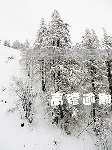 高德逾期会影响芝麻信用分吗 高德逾期会影响芝麻信用分吗