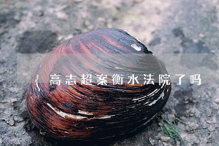 高志超案衡水法院了吗 高志超案衡水法院了吗
