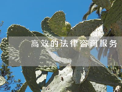 高效的法律咨询服务