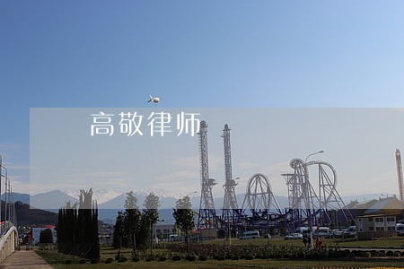 高敬律师