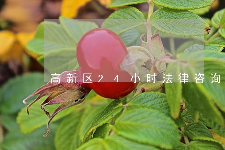 高新区24小时法律咨询 高新区24小时法律咨询
