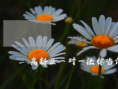 高新区一对一法律咨询 高新区一对一法律咨询
