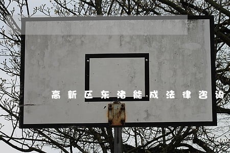 高新区东渚能成法律咨询服务部 高新区东渚能成法律咨询服务部