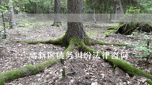 高新区债务纠纷法律咨询 高新区债务纠纷法律咨询