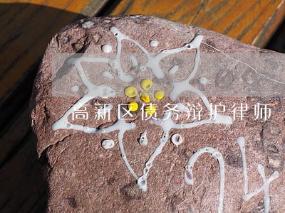 高新区债务辩护律师 高新区债务辩护律师