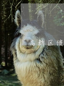 高新区债权债务法律咨询 高新区债权债务法律咨询