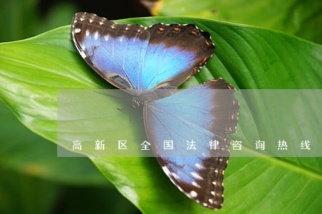 高新区全国法律咨询热线 高新区全国法律咨询热线