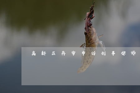 高新区再审申诉刑事律师咨询电话 高新区再审申诉刑事律师咨询电话