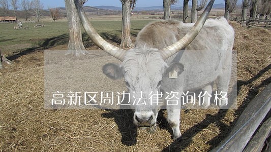 高新区周边法律咨询价格 高新区周边法律咨询价格