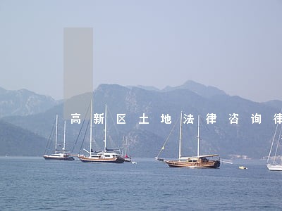 高新区土地法律咨询律师 高新区土地法律咨询律师