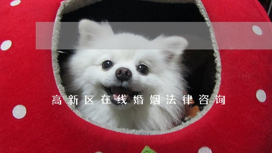 高新区在线婚姻法律咨询 高新区在线婚姻法律咨询