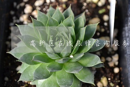 高新区在线法律咨询服务
