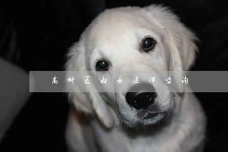高新区妇女法律咨询 高新区妇女法律咨询