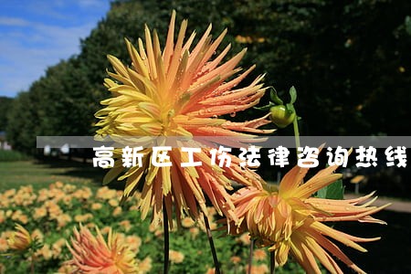 高新区工伤法律咨询热线 高新区工伤法律咨询热线