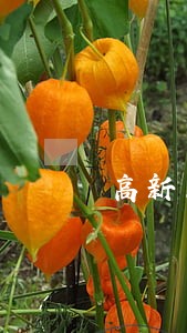 高新区工伤赔偿请律师