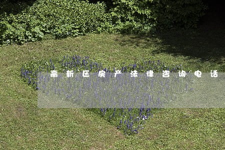 高新区房产法律咨询电话 高新区房产法律咨询电话