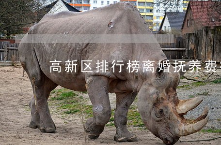 高新区排行榜离婚抚养费律师 高新区排行榜离婚抚养费律师