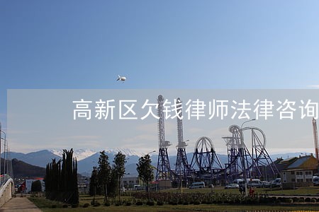高新区欠钱律师法律咨询 高新区欠钱律师法律咨询