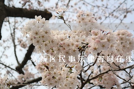 高新区民事法律咨询在线 高新区民事法律咨询在线