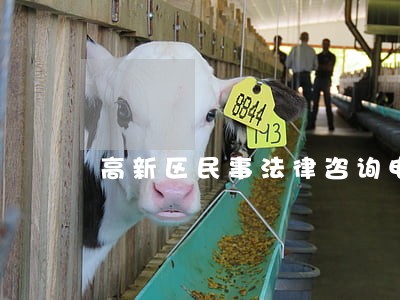 高新区民事法律咨询电话 高新区民事法律咨询电话