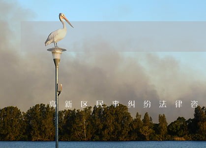 高新区民事纠纷法律咨询 高新区民事纠纷法律咨询