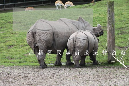 高新区民事诉讼法律咨询 高新区民事诉讼法律咨询