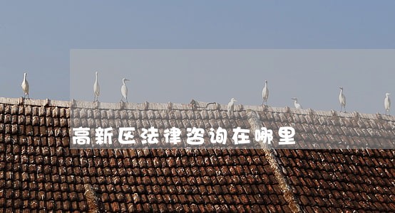 高新区法律咨询在哪里 高新区法律咨询在哪里